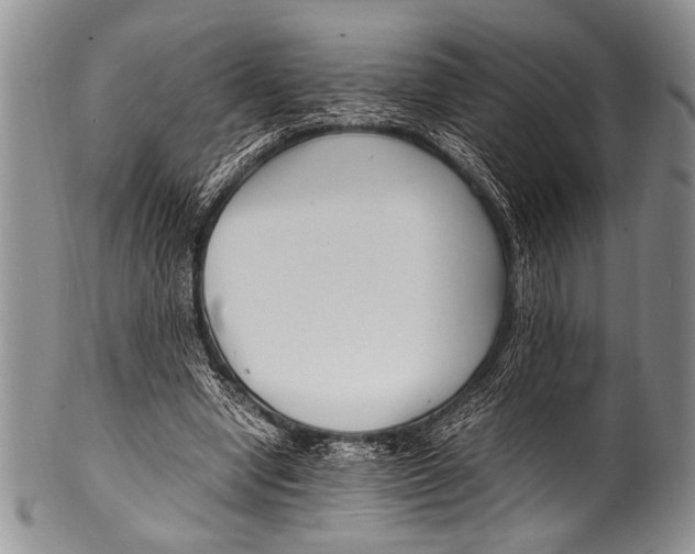 X0000100340442200806261330