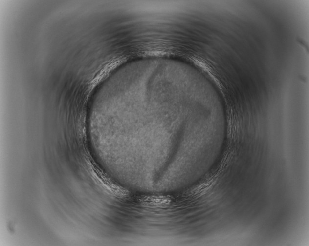 X0000100340443200806261330