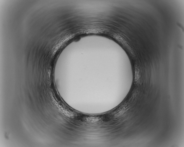 X0000100340444200806261330