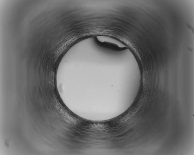 X0000100340445200806261330