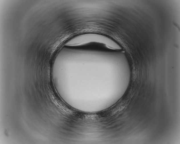 X0000100340446200806261330