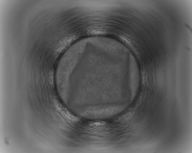 X0000100340447200806261331