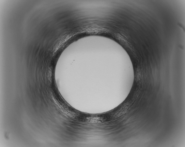 X0000100340448200806261331