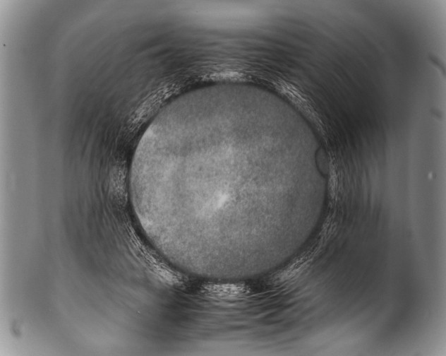 X0000100340449200806261331