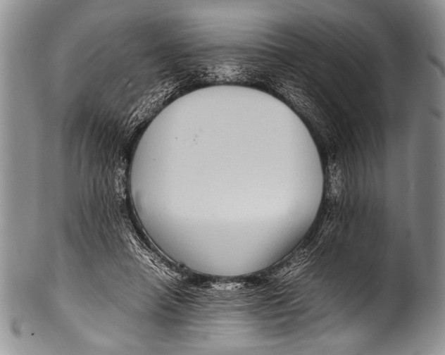 X0000100340450200806261331