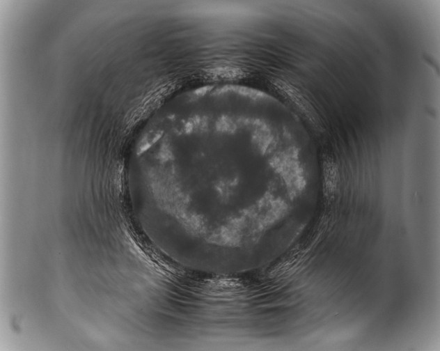 X0000100340451200806261331