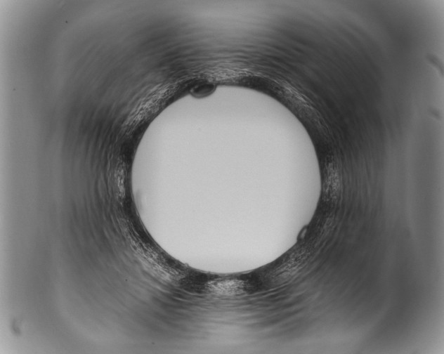 X0000100340452200806261331