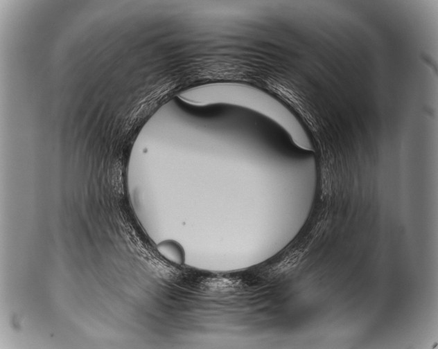 X0000100340453200806261331