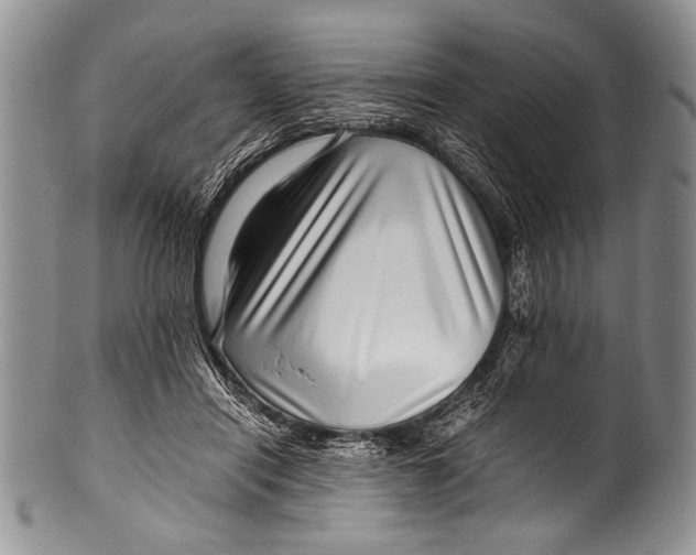 X0000100340454200806261331