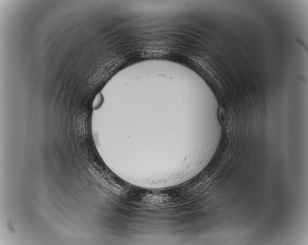 X0000100340455200806261331