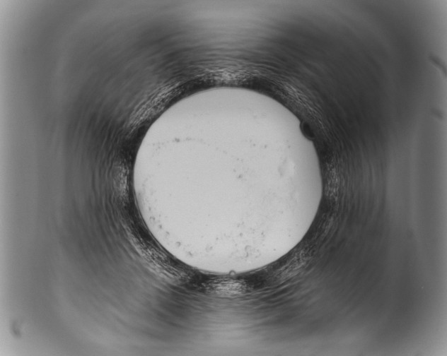 X0000100340456200806261331