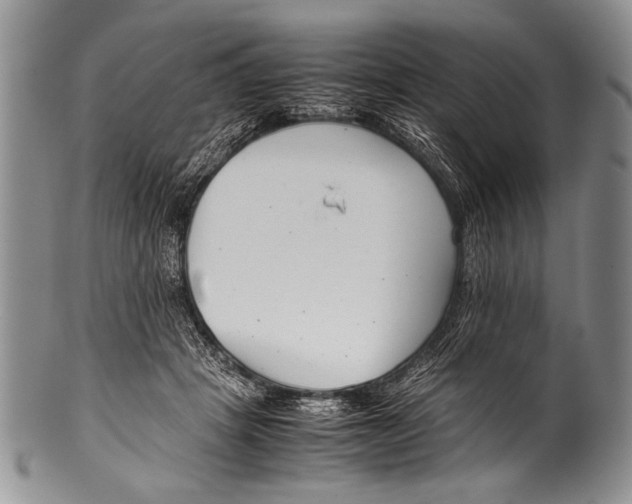 X0000100340457200806261331