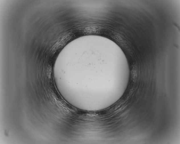 X0000100340458200806261331