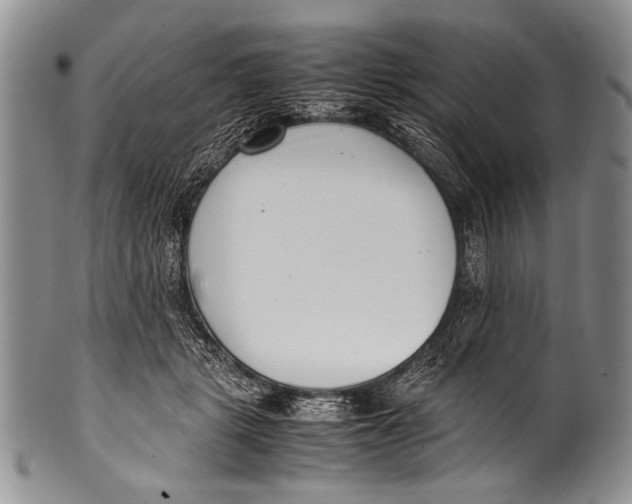 X0000100340461200806261331