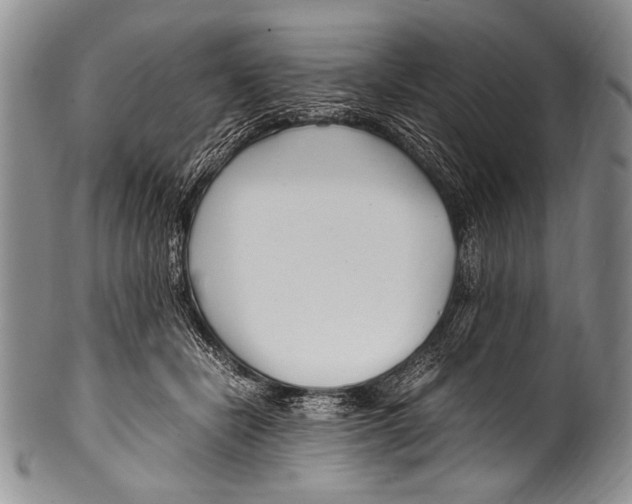 X0000100340462200806261331