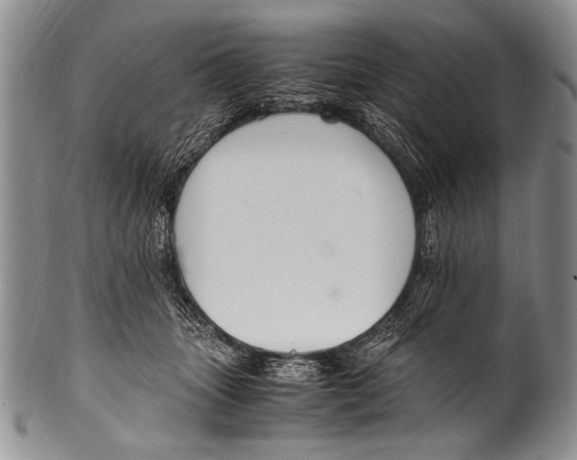 X0000100340463200806261331