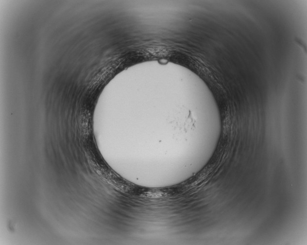 X0000100340464200806261331