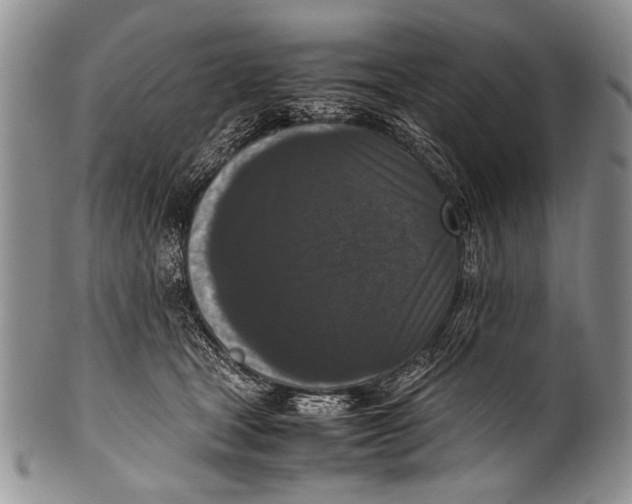 X0000100340465200806261331