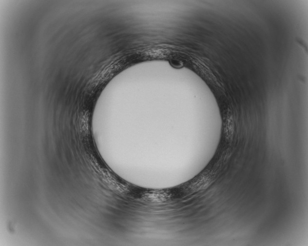 X0000100340466200806261331