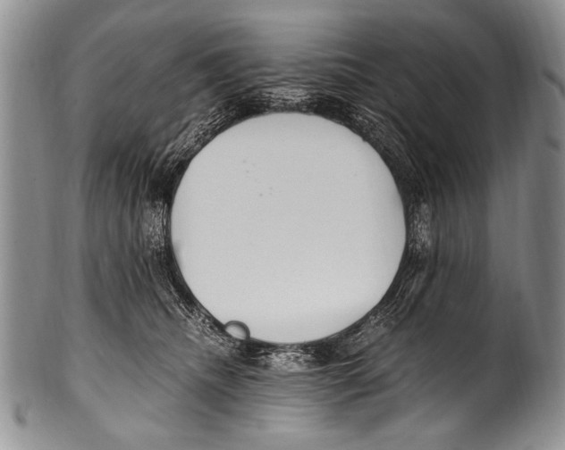 X0000100340468200806261331