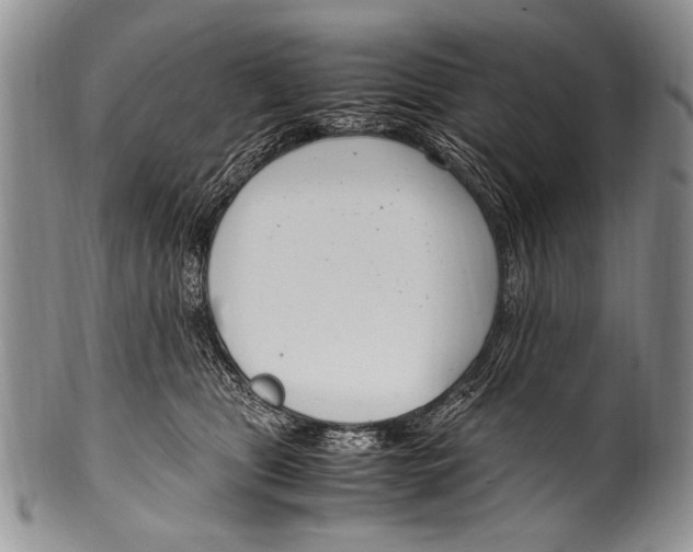 X0000100340469200806261331