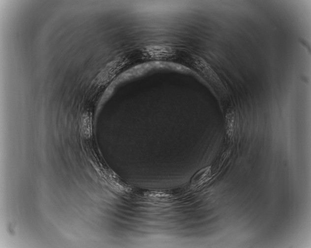 X0000100340471200806261331