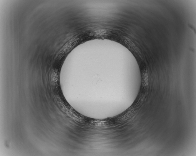 X0000100340472200806261331