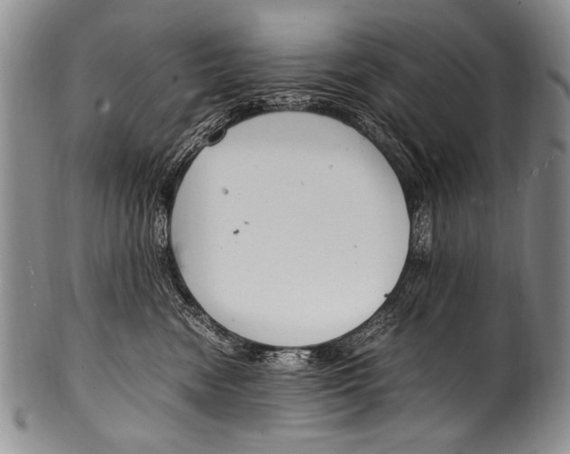 X0000100340474200806261331