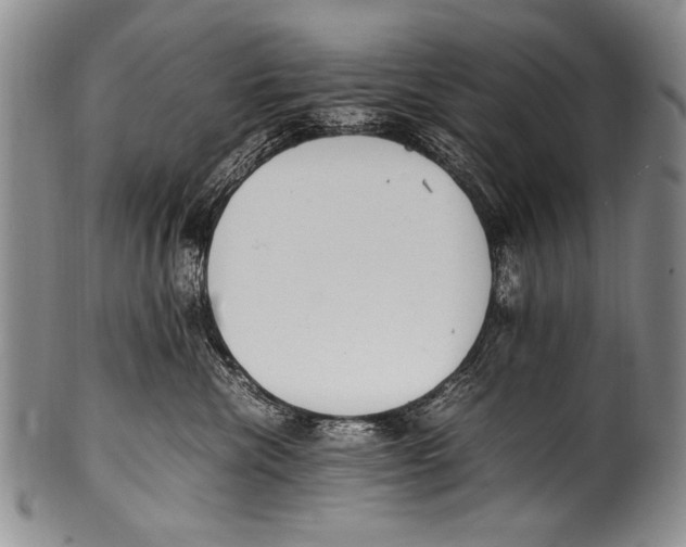 X0000100340476200806261331