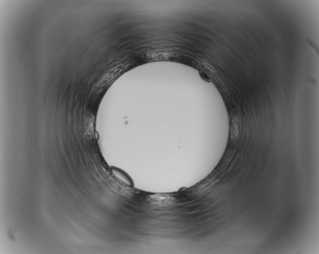 X0000100340477200806261331