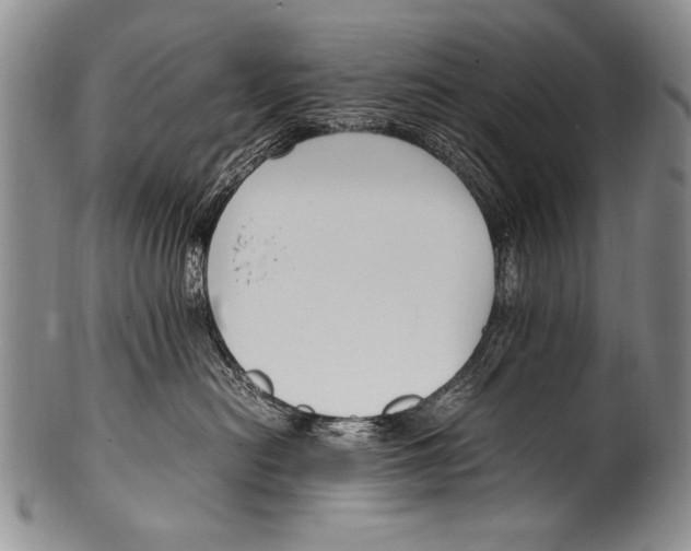 X0000100340478200806261331