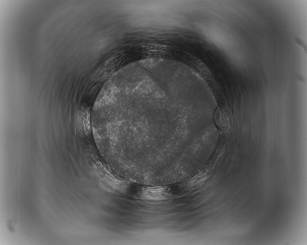 X0000100340479200806261331