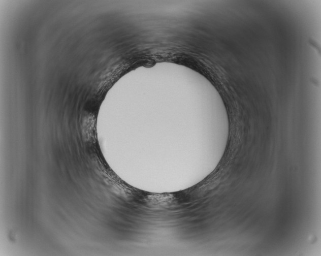 X0000100340480200806261331