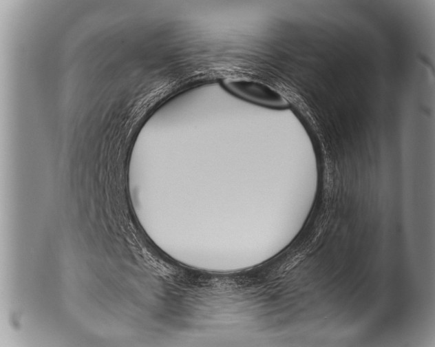 X0000100340481200806261330