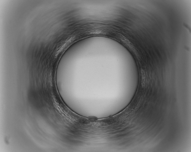 X0000100340482200806261330