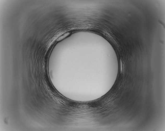 X0000100340483200806261330