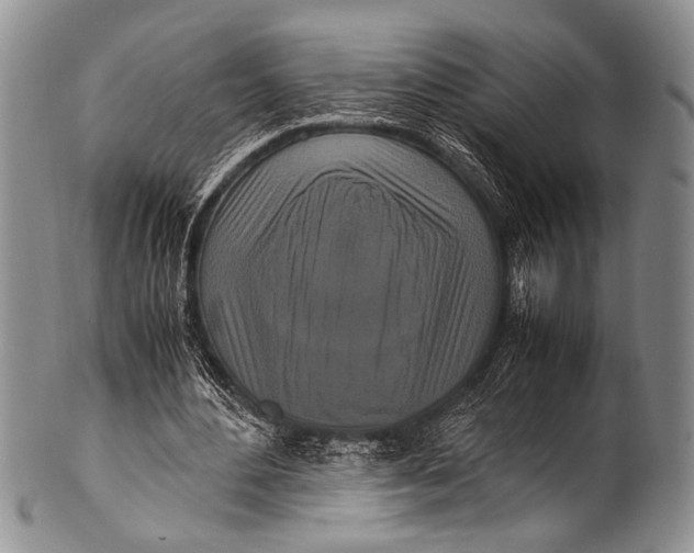 X0000100340484200806261330