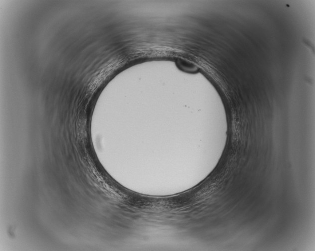 X0000100340485200806261330