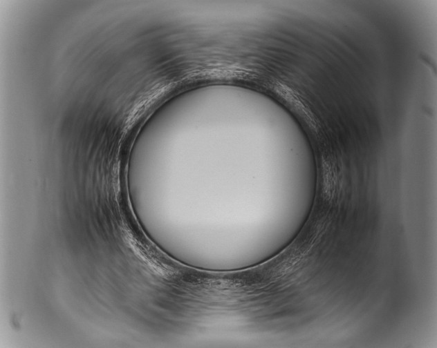 X0000100340486200806261330