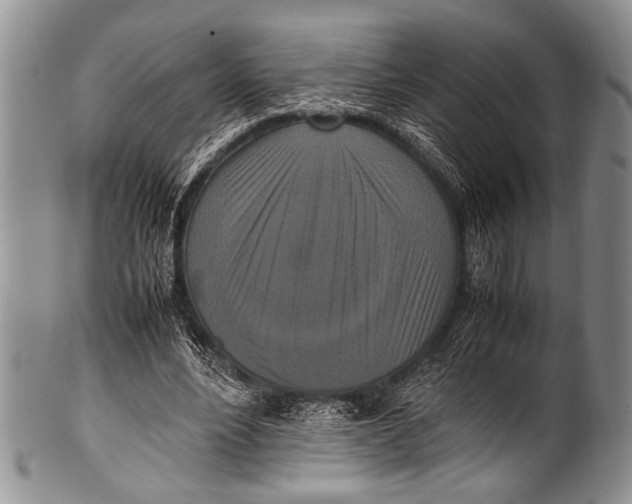 X0000100340488200806261330