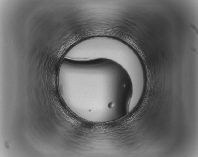 X0000100340489200806261330