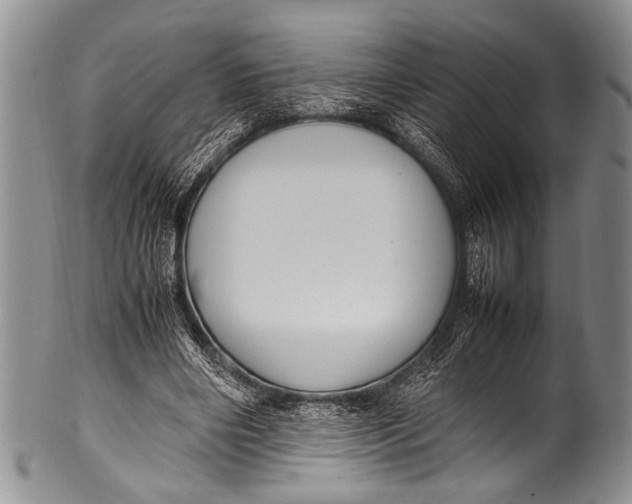 X0000100340490200806261330