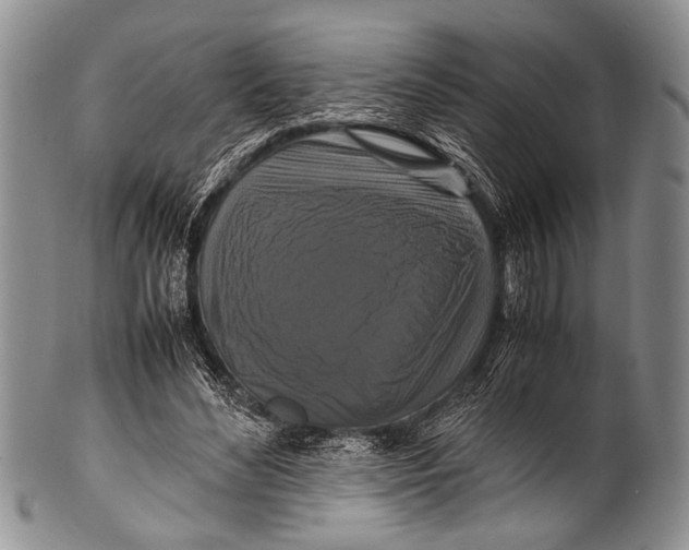 X0000100340492200806261330