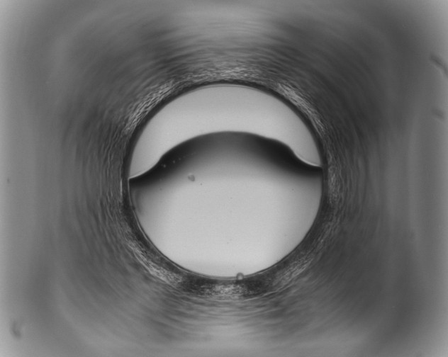 X0000100340493200806261330