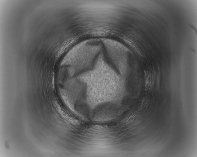 X0000100340494200806261330