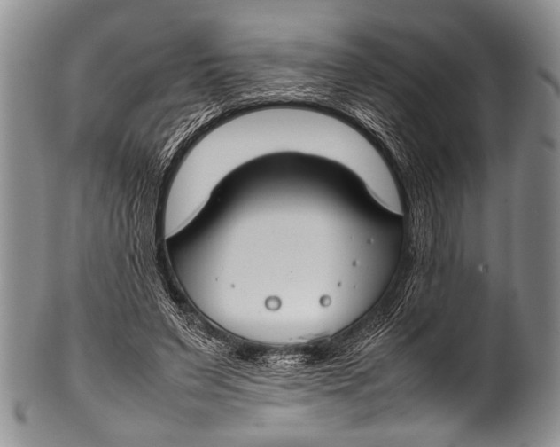 X0000100340495200806261330