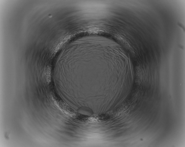 X0000100340496200806261330