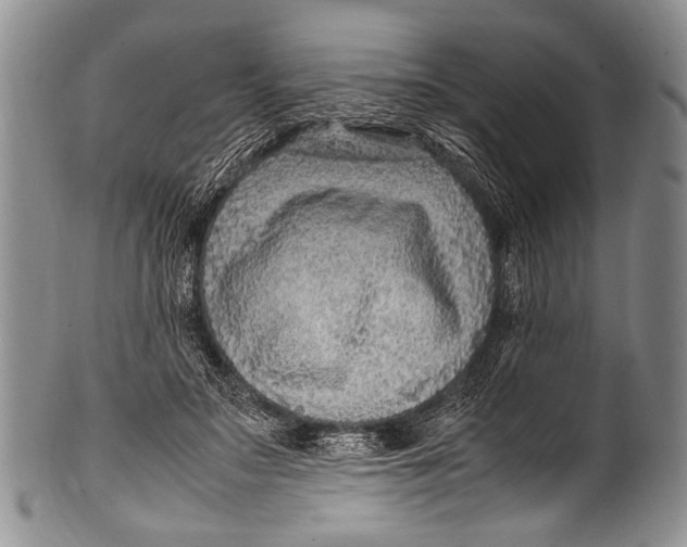 X0000100340499200806261330