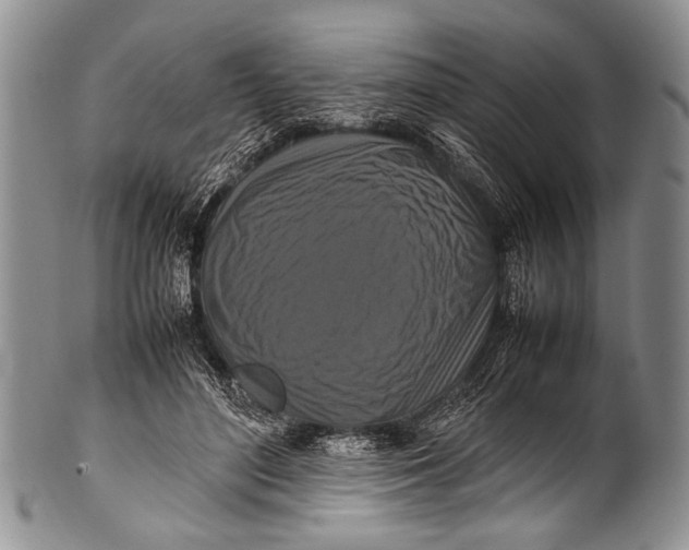 X0000100340500200806261330