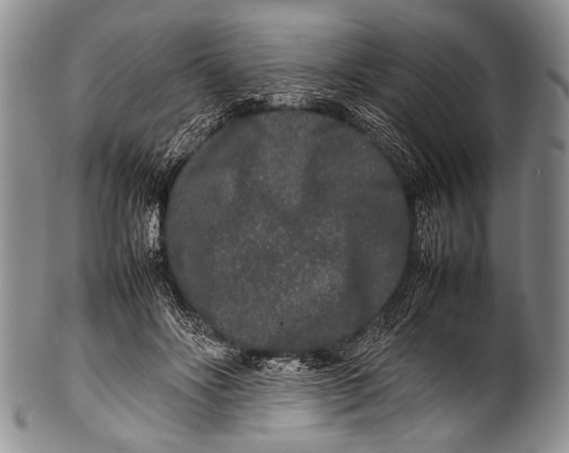 X0000100340502200806261330